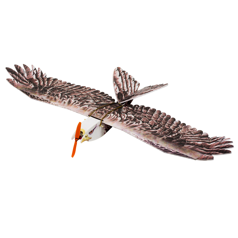 DW Hobby Eagle II EPP Airplane - Rc Hobby Plane ulasan dan harga