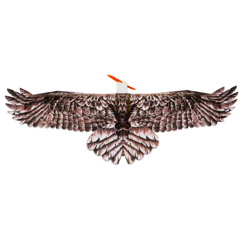 DW Hobby Eagle II EPP Airplane - Rc Hobby Plane ulasan dan harga
